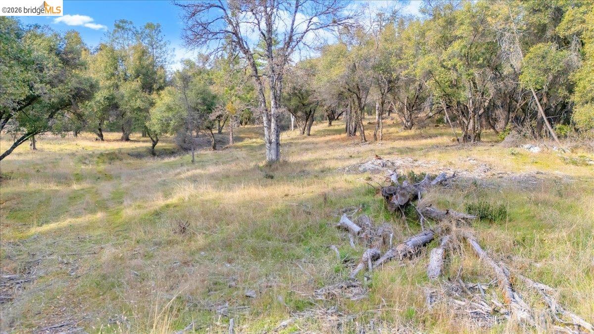 0 Montgomery Road Sonora, CA 95370 - Photo 8 of 31 a view of outdoor space with trees
