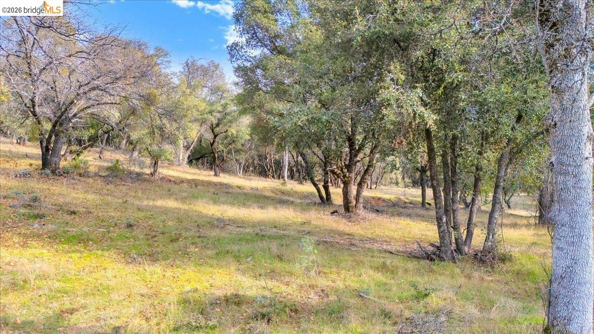 0 Montgomery Road Sonora, CA 95370 - Photo 10 of 31 a view of yard with trees