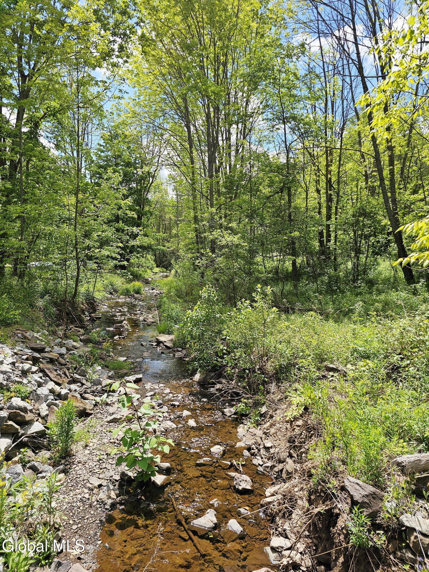 143 Gulf Road Rensselaerville, NY 12122 - Photo 22 of 24 20260601_144107
