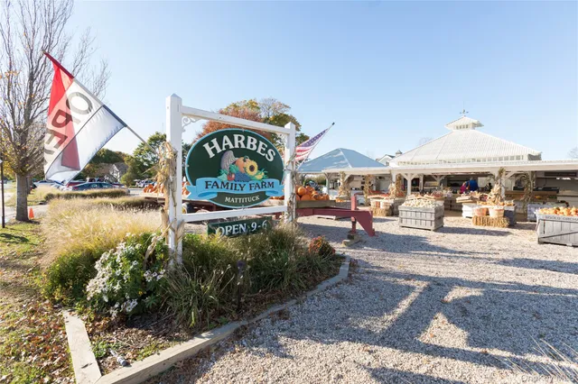 a outdoor space with lots of trees in the background