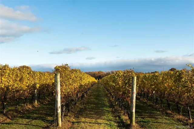 a view of ocean view