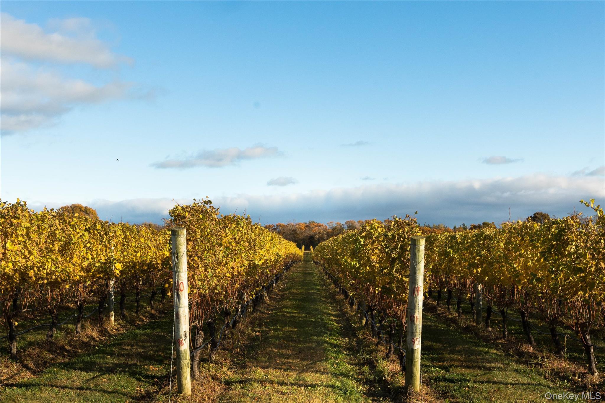 1995 Ruth Road Mattituck, NY 11952 - Photo 28 of 32 a view of ocean view