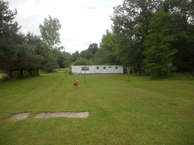 22584 Colvin Road St. Charles, MI 48655 - Photo 10 of 13 20362668-9.JPG