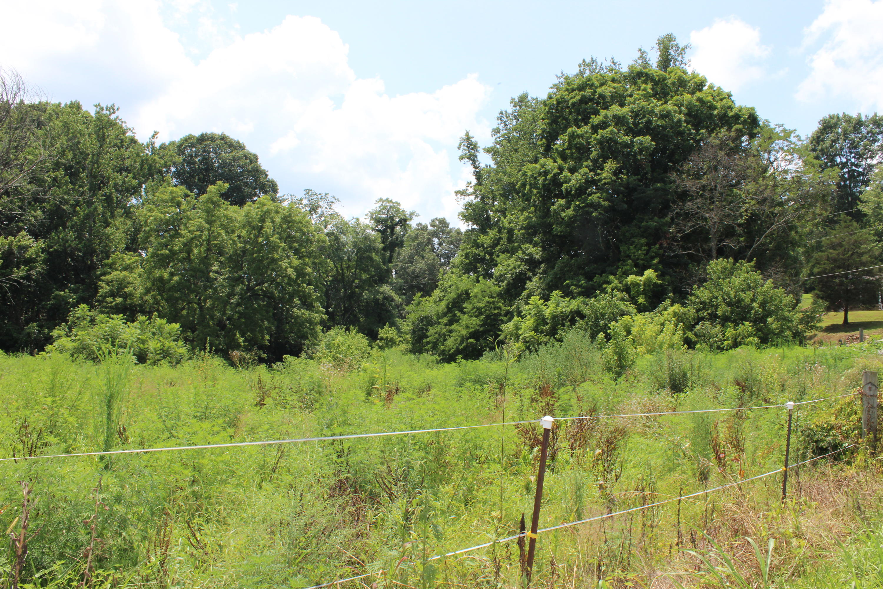 4728 Idumea Road Corryton, TN 37721 - Photo 29 of 30 IMG_5963