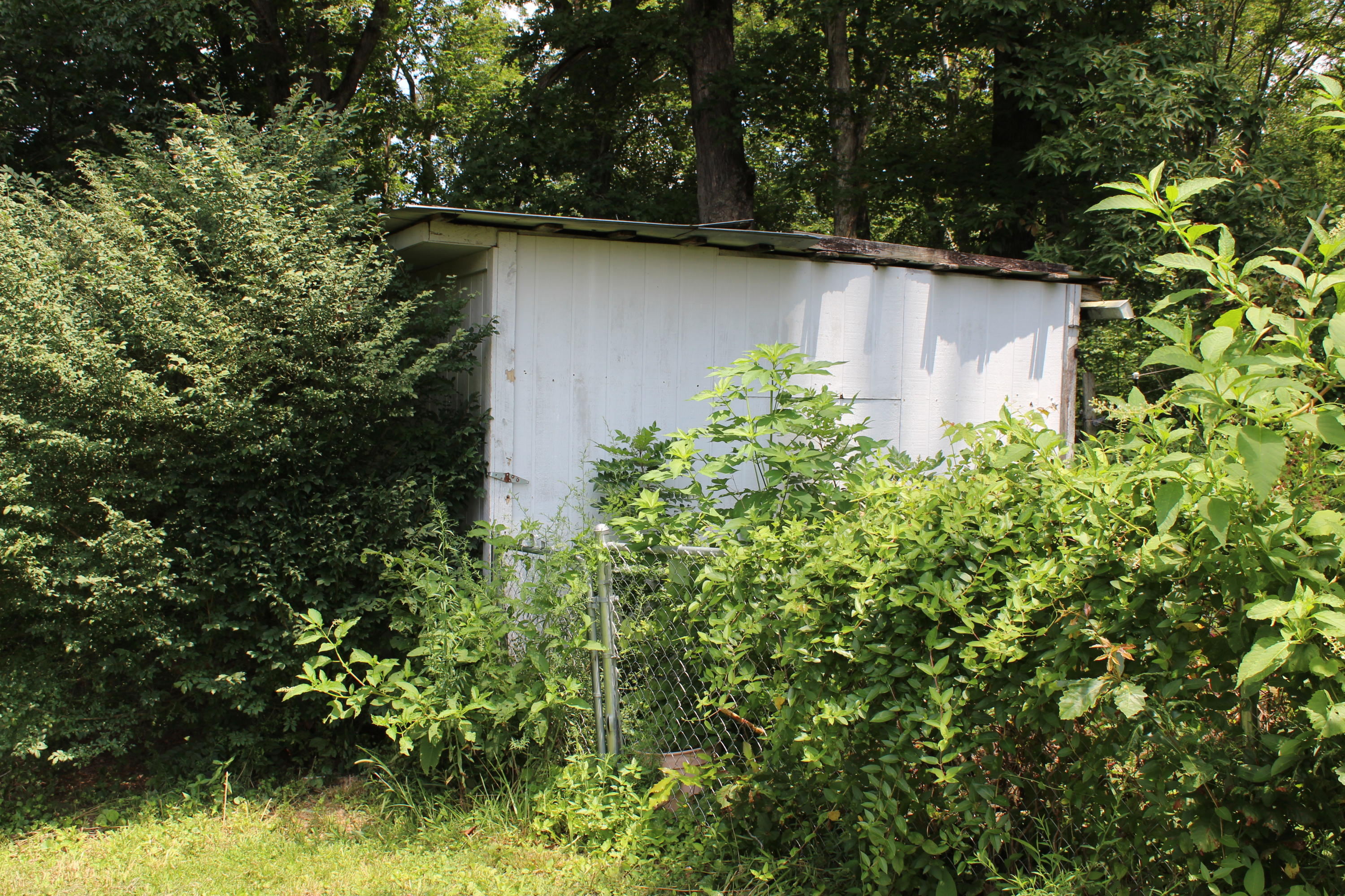 4728 Idumea Road Corryton, TN 37721 - Photo 6 of 30 IMG_5940