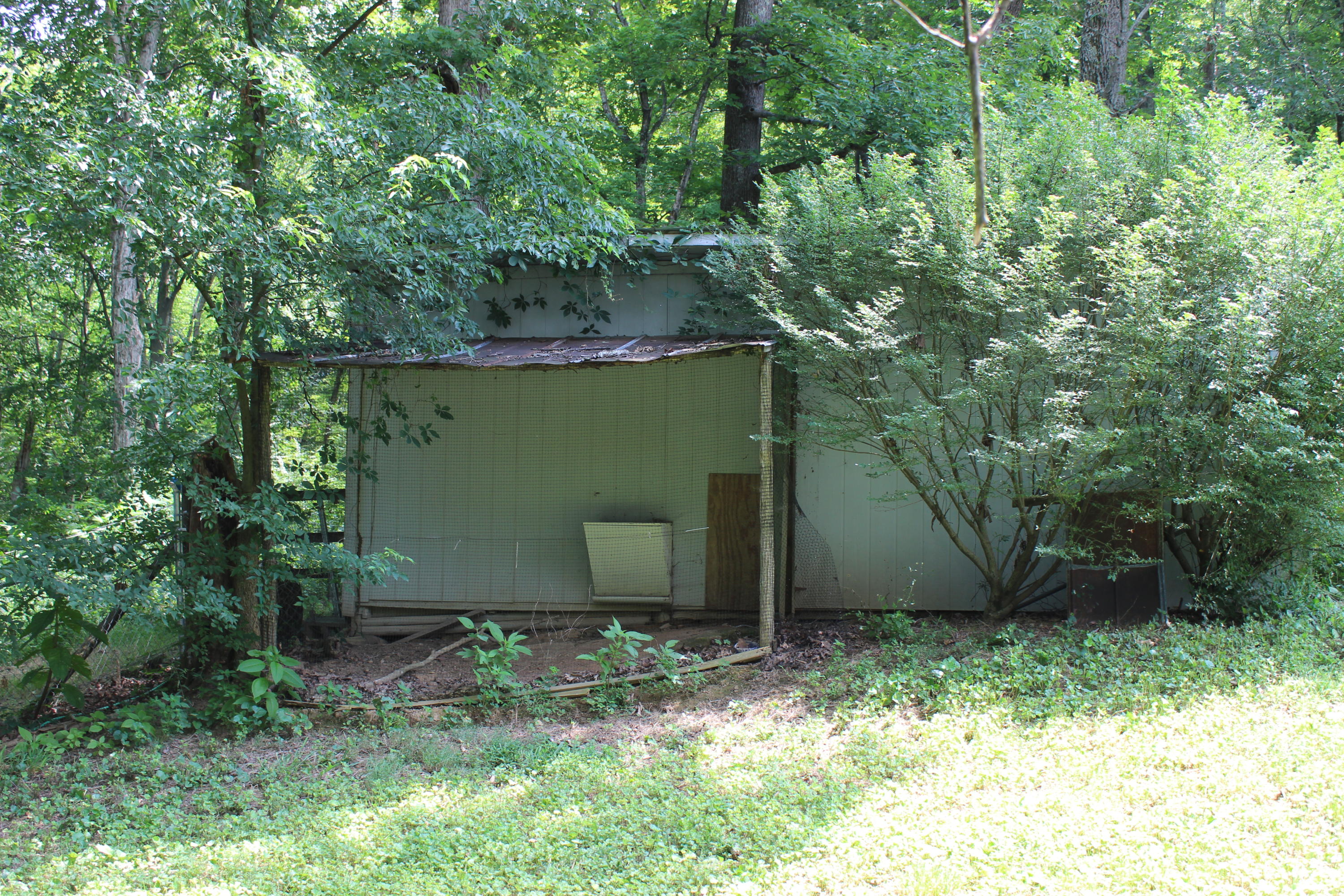 4728 Idumea Road Corryton, TN 37721 - Photo 7 of 30 IMG_5941