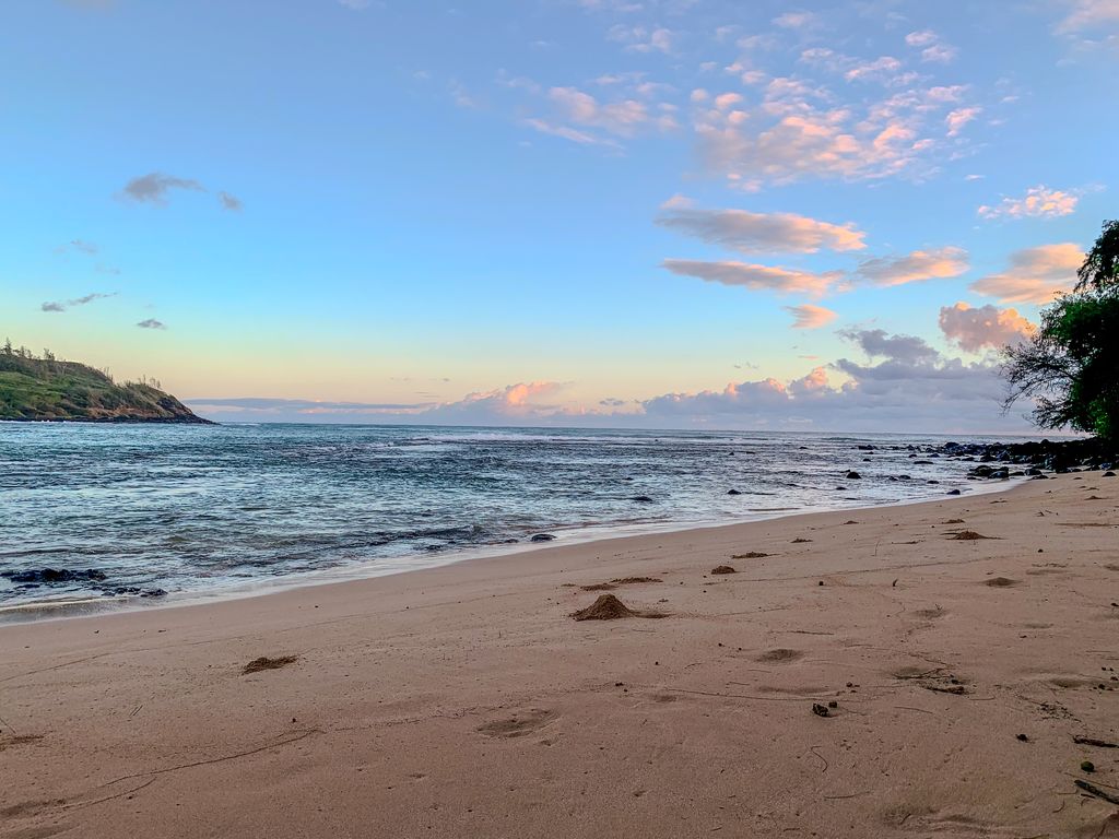 3610 Moloaa Road, Unit 2 Kilauea, HI 96754 - Photo 11 of 14 a view of beach and ocean
