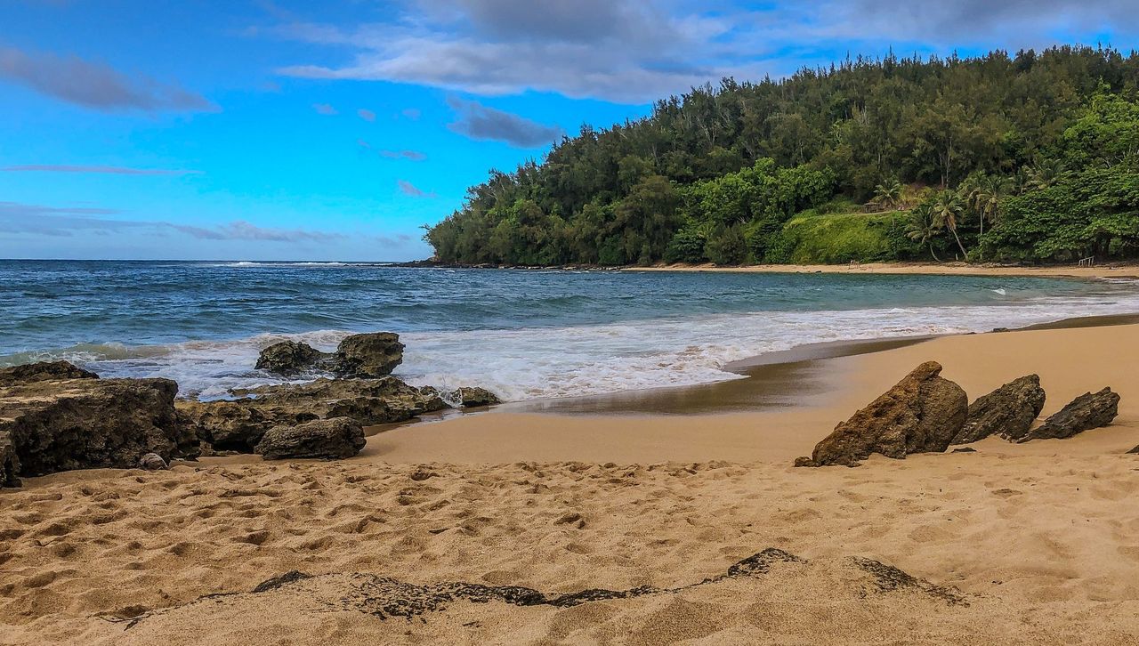 3610 Moloaa Road, Unit 2 Kilauea, HI 96754 - Photo 13 of 14 a view of a lake with a mountain