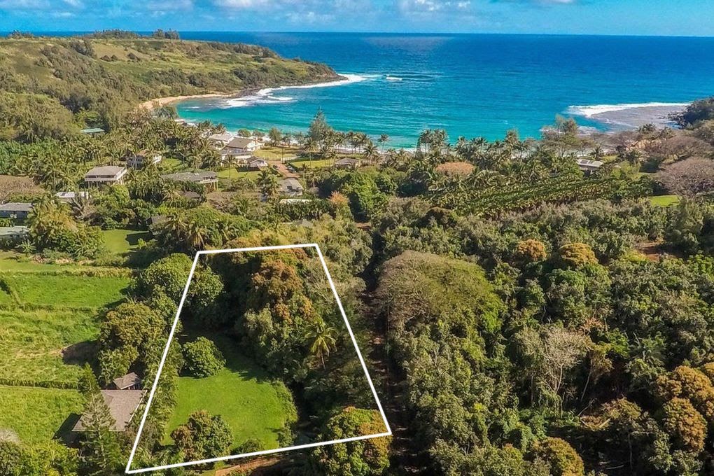 3610 Moloaa Road, Unit 2 Kilauea, HI 96754 - Photo 3 of 14 a view of a yard