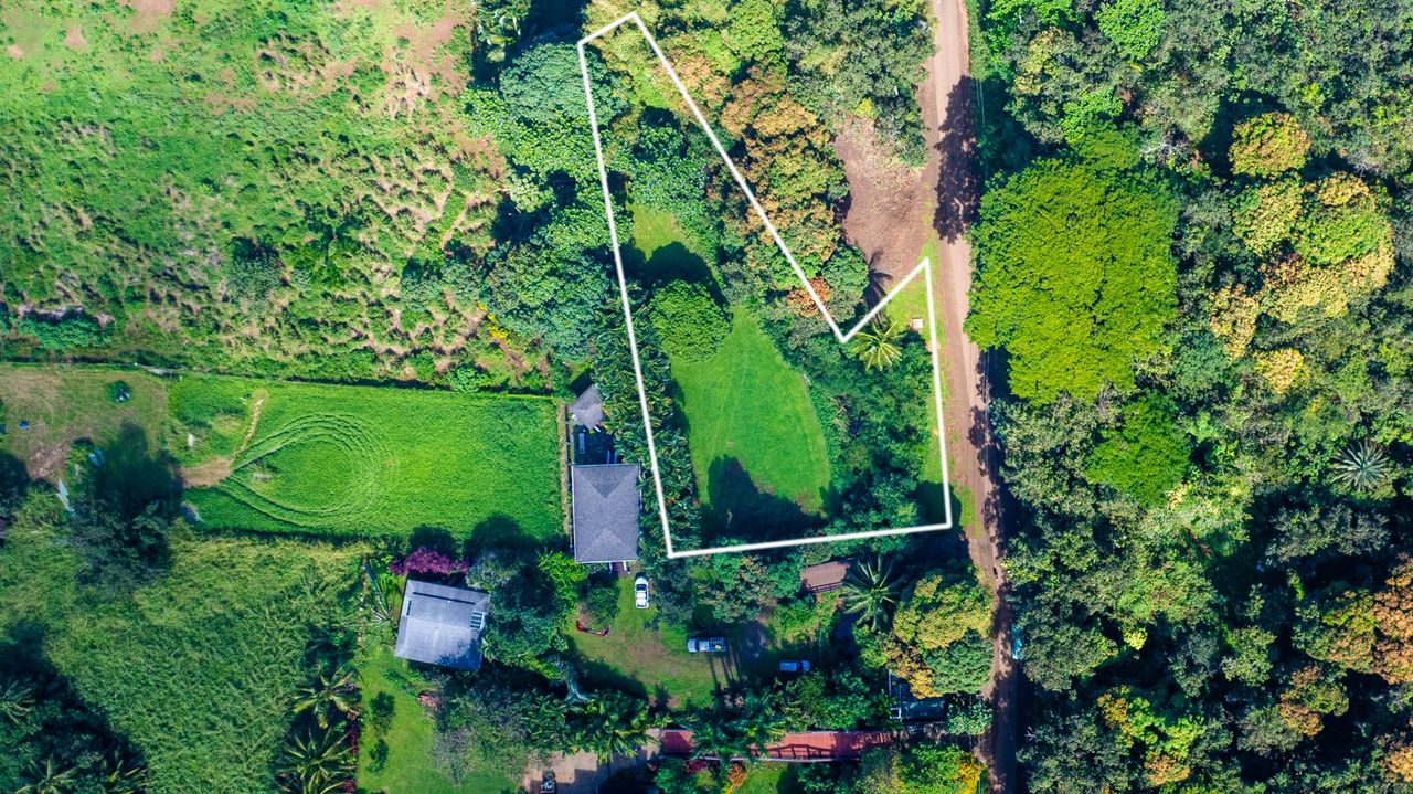 3610 Moloaa Road, Unit 2 Kilauea, HI 96754 - Photo 4 of 14 a view of a yard with plants