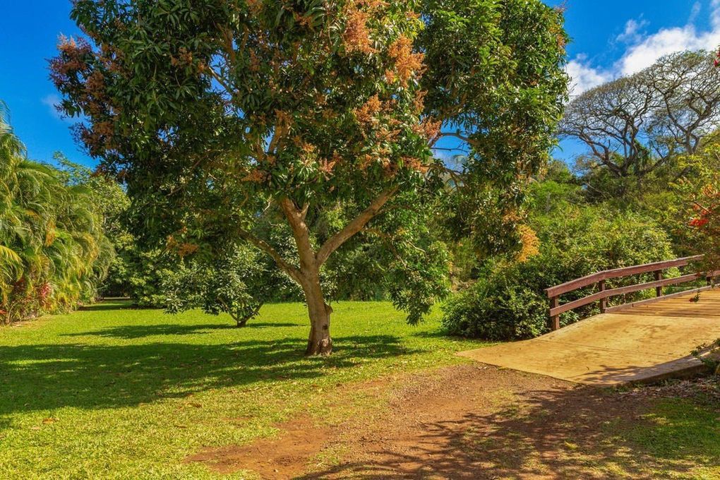 3610 Moloaa Road, Unit 2 Kilauea, HI 96754 - Photo 7 of 14 a view of a playground with basketball court