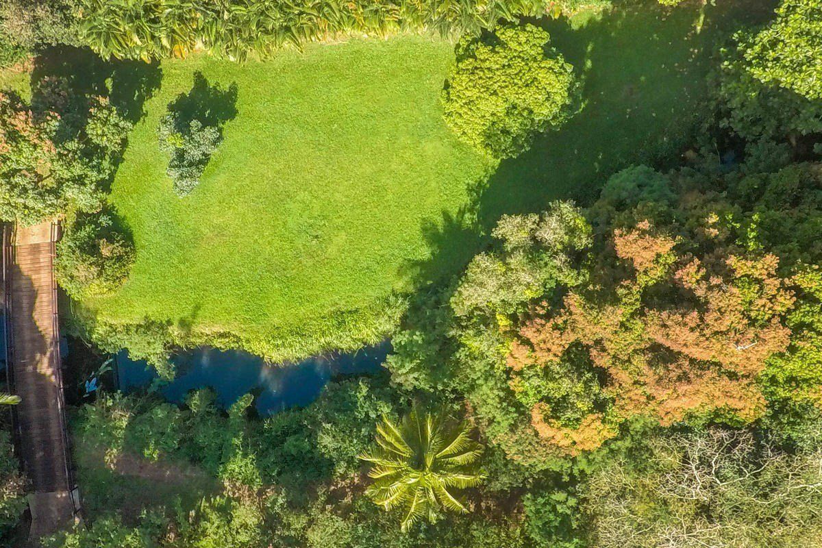 3610 Moloaa Road, Unit 2 Kilauea, HI 96754 - Photo 8 of 14 a view of a garden