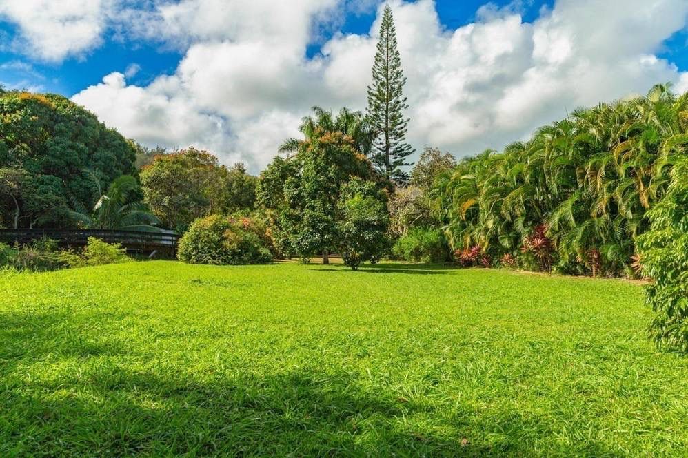 3610 Moloaa Road, Unit 2 Kilauea, HI 96754 - Photo 9 of 14 a view of field with plants in the background