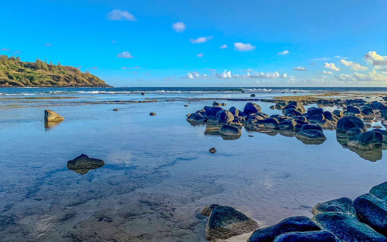 3610 Moloaa Road, Unit 2 Kilauea, HI 96754 - Photo 10 of 14 a view of a basket ball ground