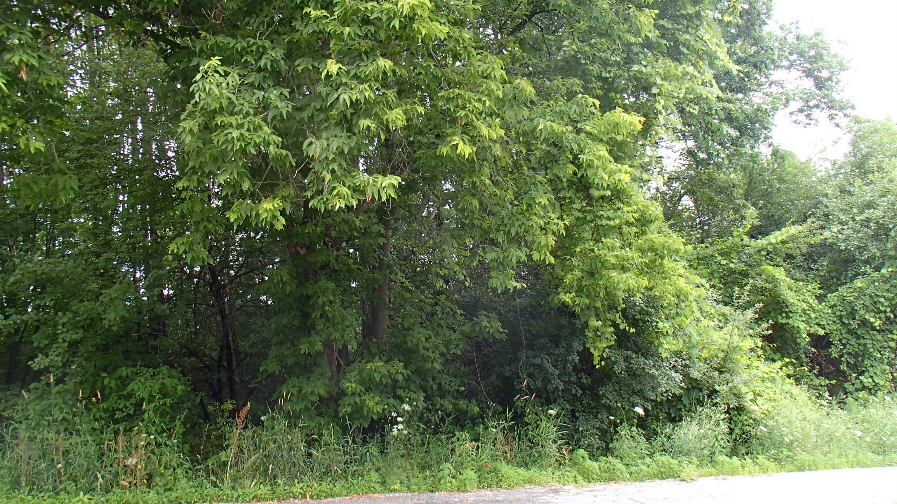 South Lane, Unit 230082 Center Rutland, VT 05736 - Photo 3 of 3