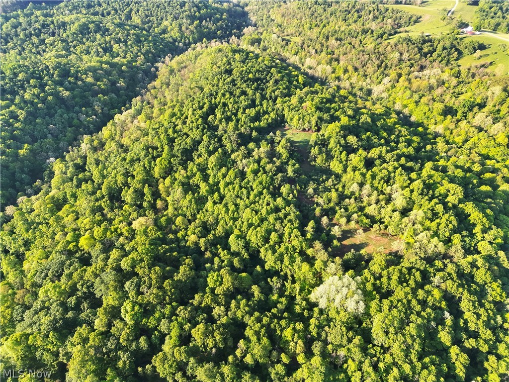 Crum Ridge Road Caldwell, OH 43724 - Photo 19 of 50