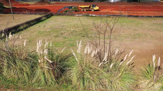 a yard with a trees in the background