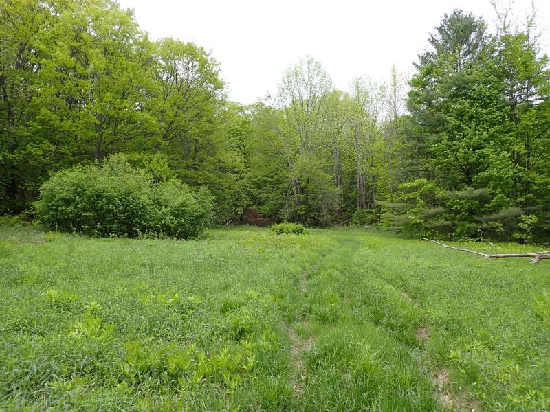 0 Chase Road Berlin, VT 05602 - Photo 12 of 23