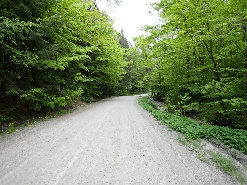 0 Chase Road Berlin, VT 05602 - Photo 23 of 23