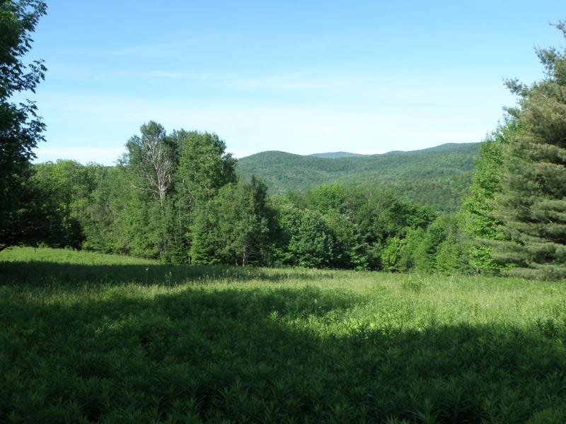 0 Chase Road Berlin, VT 05602 - Photo 7 of 23