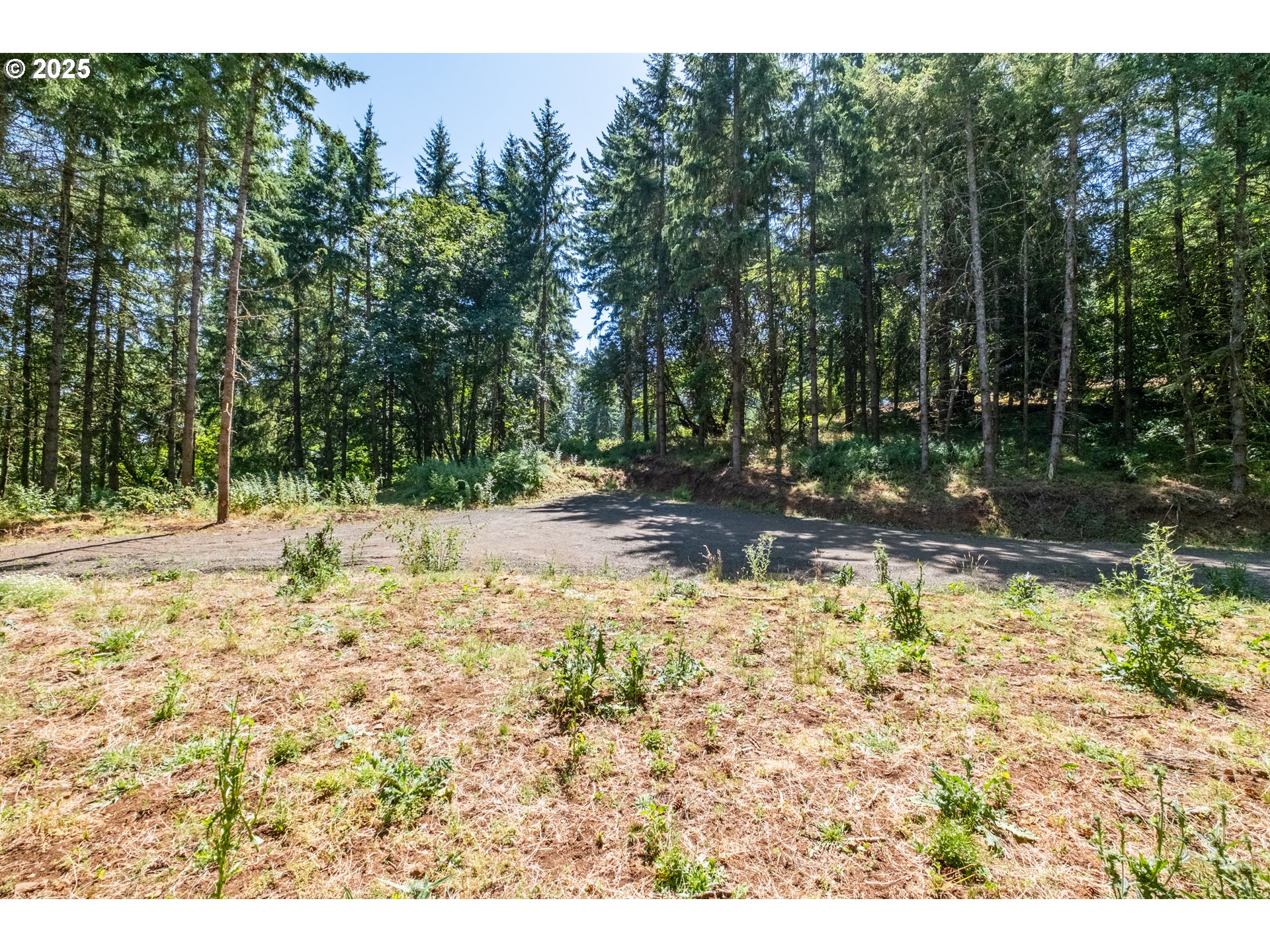 Scravel Hill Road Albany, OR 97322 - Photo 11 of 28 a view of a yard covered in snow
