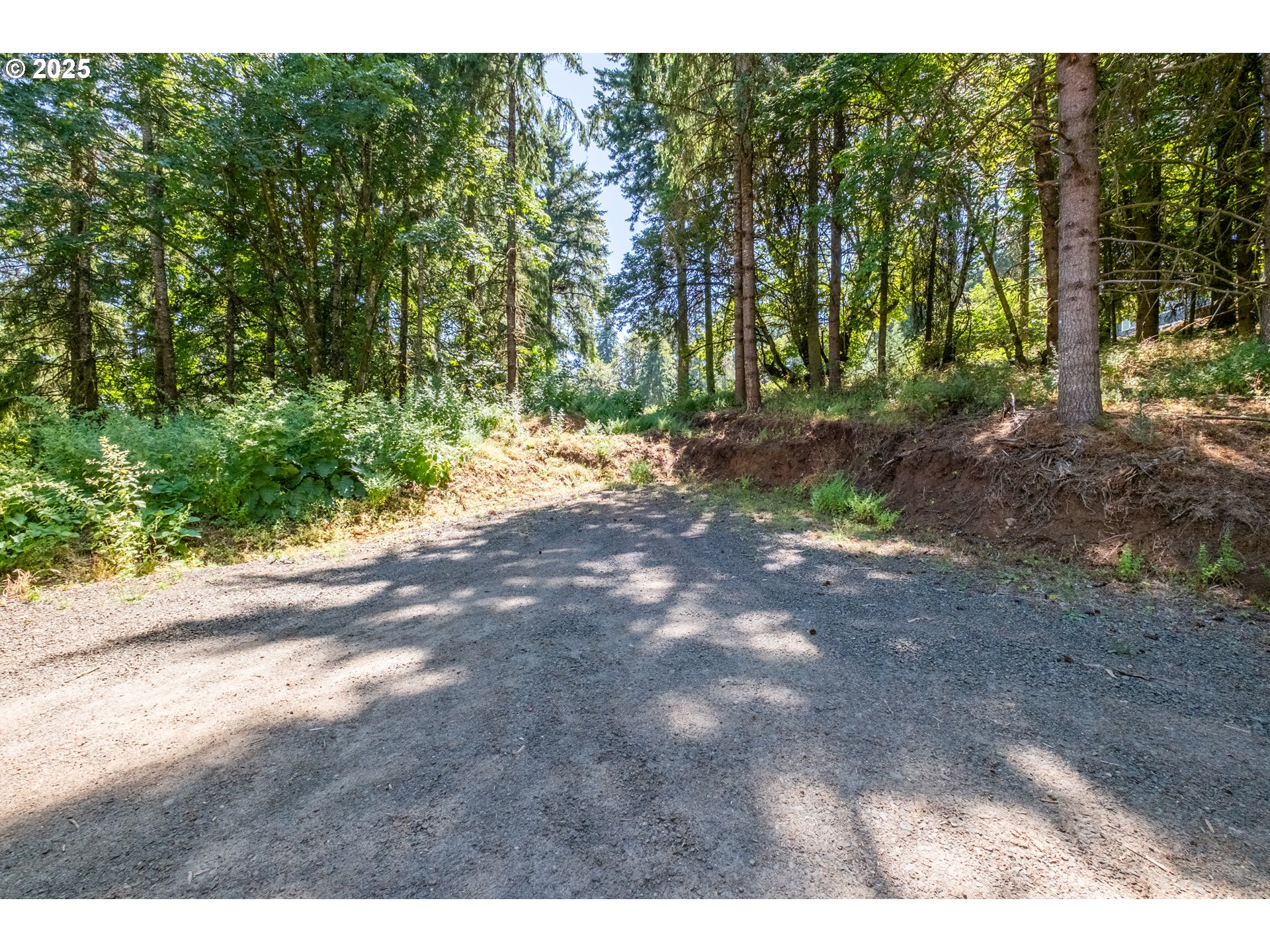 Scravel Hill Road Albany, OR 97322 - Photo 14 of 28 a view of backyard with green space