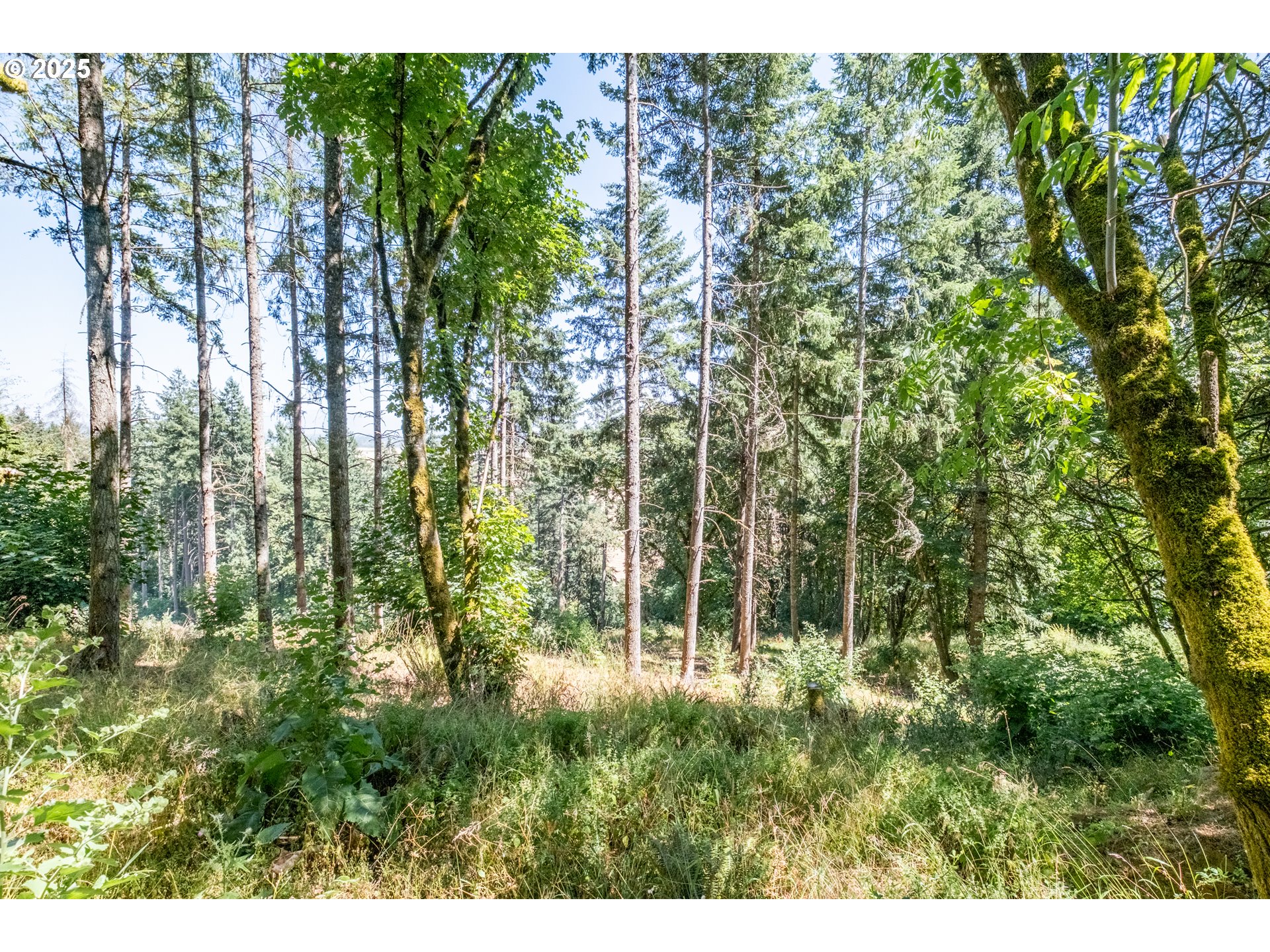 Scravel Hill Road Albany, OR 97322 - Photo 16 of 28 a view of outdoor space and garden