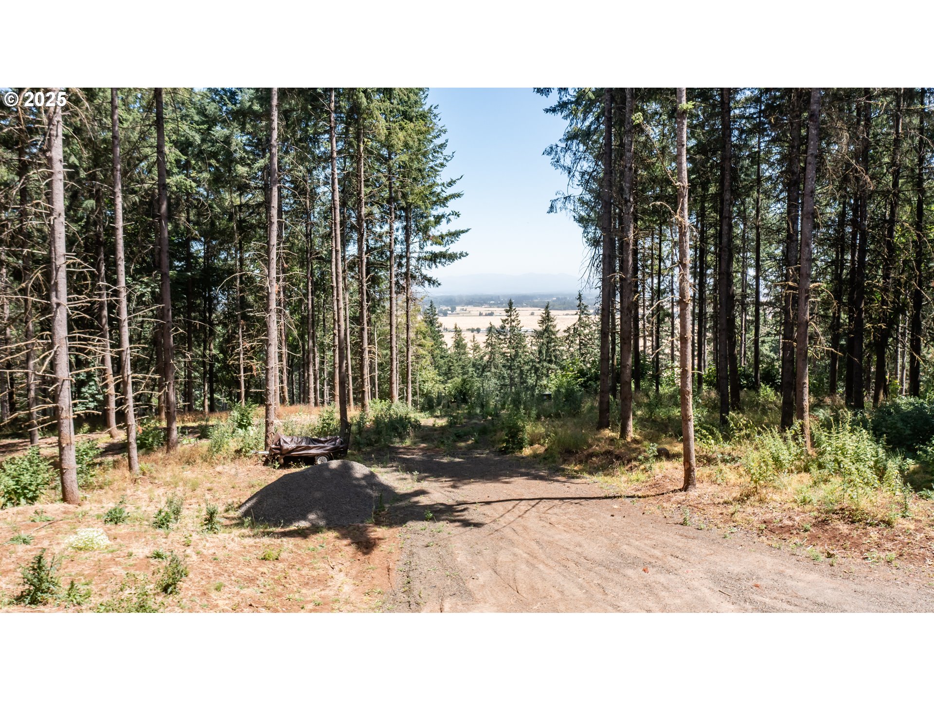 Scravel Hill Road Albany, OR 97322 - Photo 21 of 28 a outdoor view