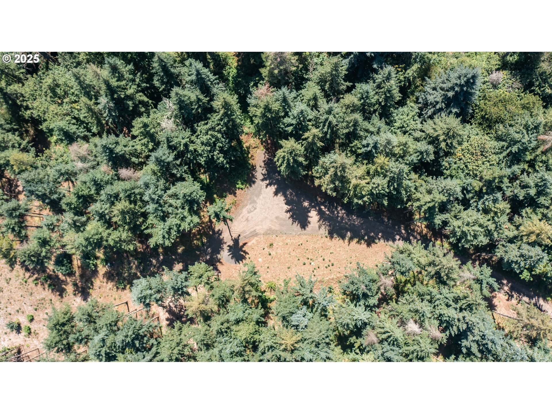 Scravel Hill Road Albany, OR 97322 - Photo 23 of 28 a open area with a forest in the back