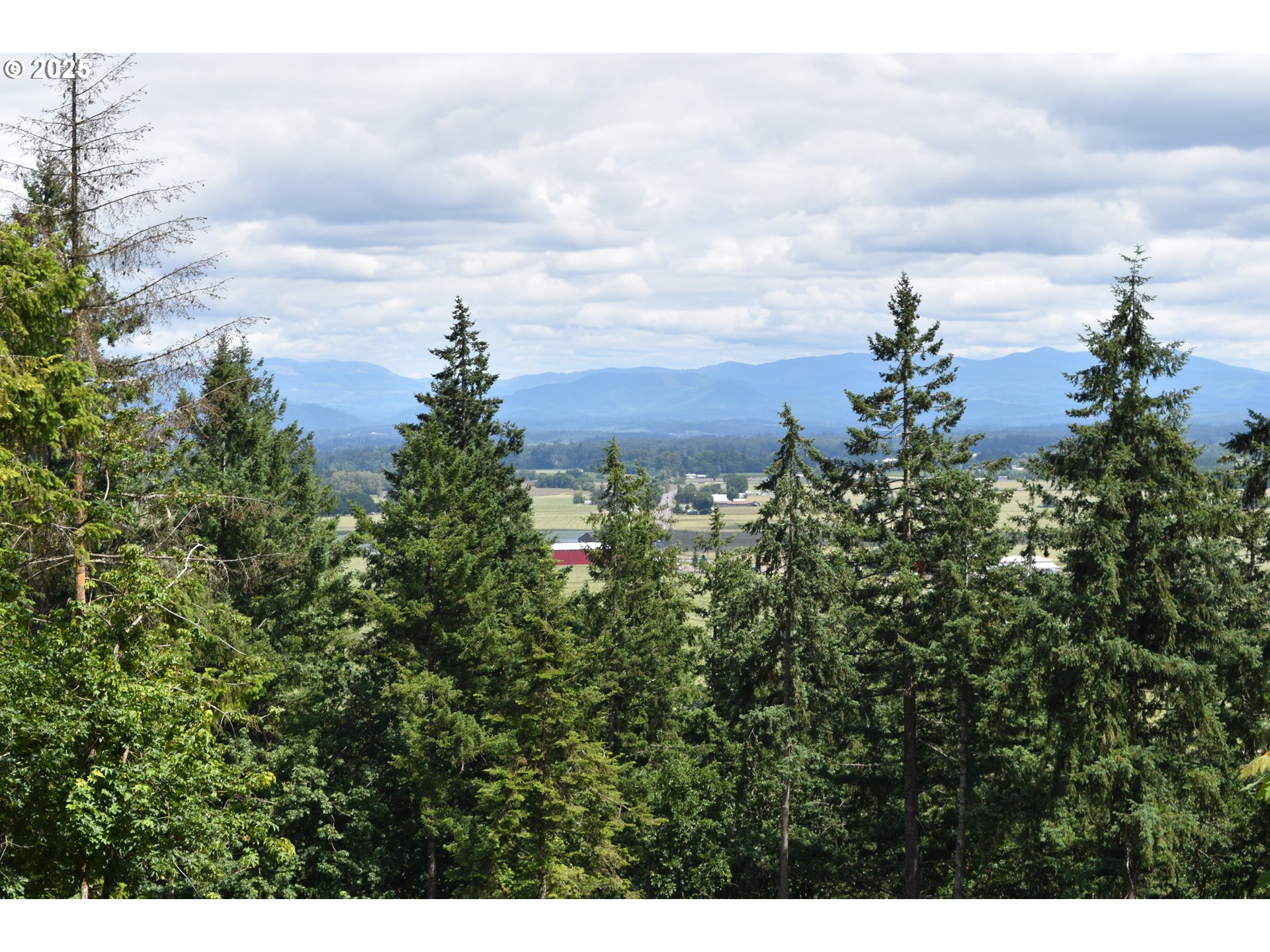 Scravel Hill Road Albany, OR 97322 - Photo 27 of 28 a view of a city