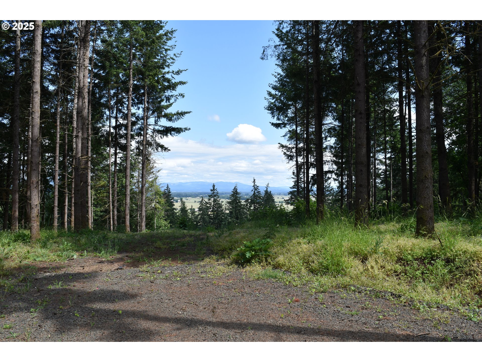 Scravel Hill Road Albany, OR 97322 - Photo 28 of 28 a view of a backyard