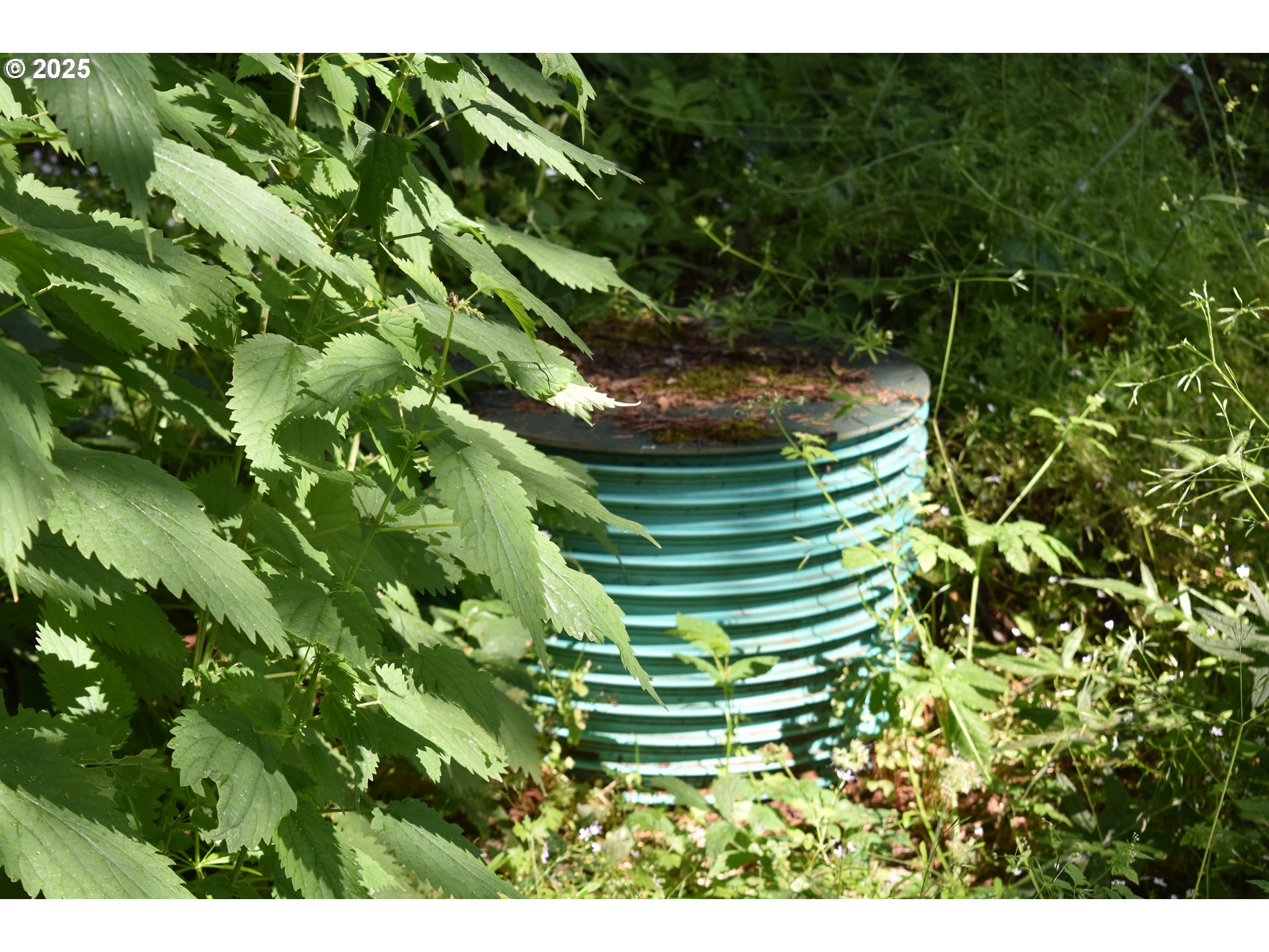 Scravel Hill Road Albany, OR 97322 - Photo 3 of 28 a bird view of location