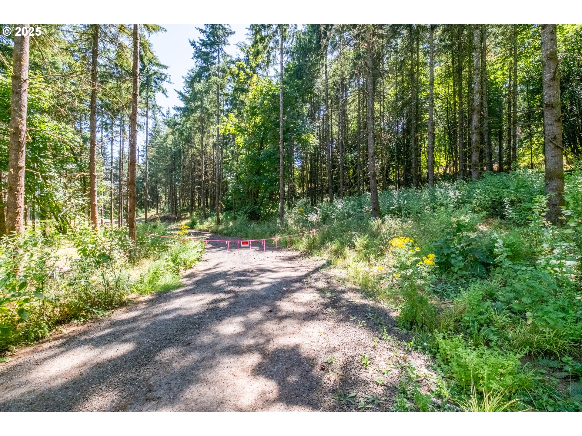 Scravel Hill Road Albany, OR 97322 - Photo 5 of 28 a view of yard with green space