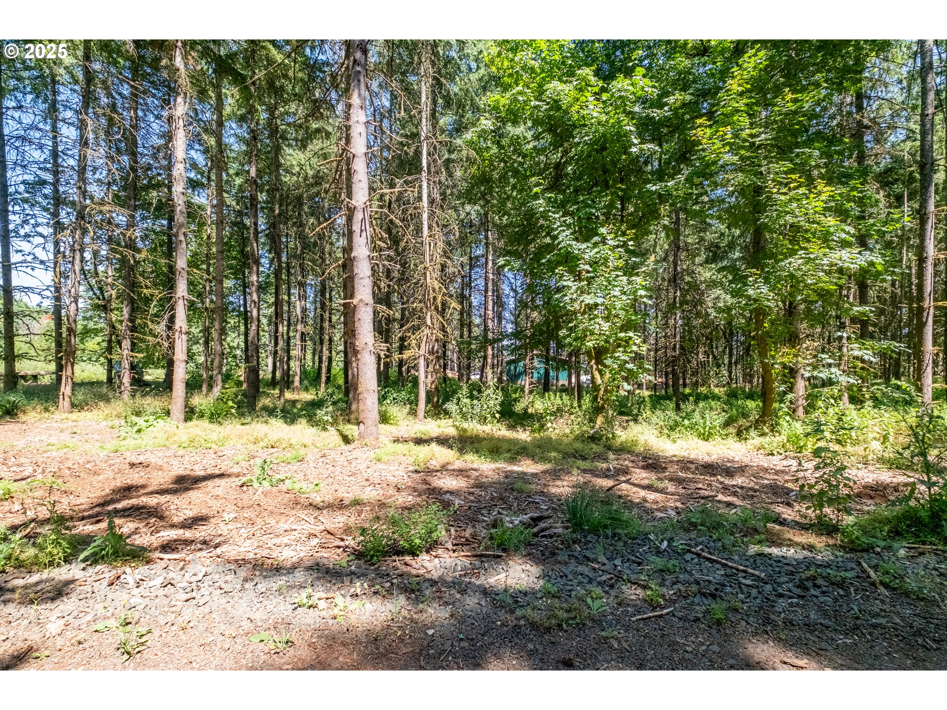 Scravel Hill Road Albany, OR 97322 - Photo 6 of 28 a backyard of a house with lots of green space