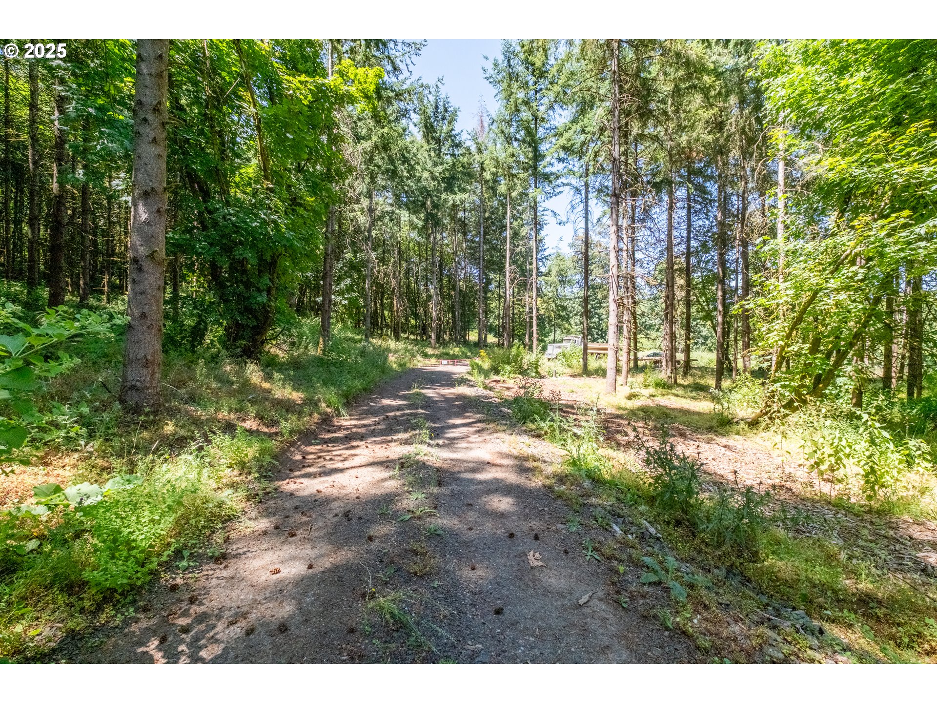 Scravel Hill Road Albany, OR 97322 - Photo 7 of 28 a view of outdoor space with trees all around