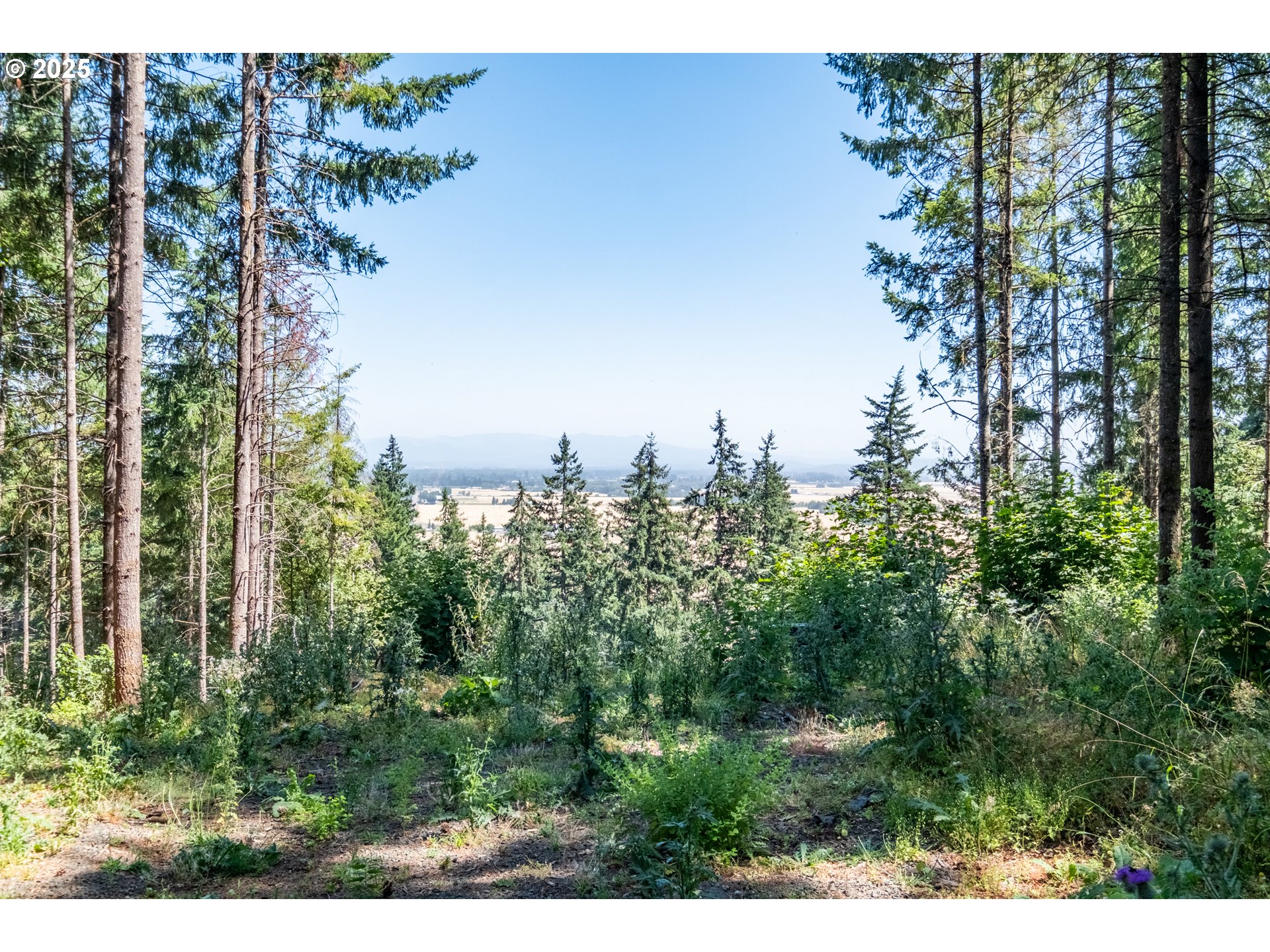 Scravel Hill Road Albany, OR 97322 - Photo 9 of 28 a view of a city