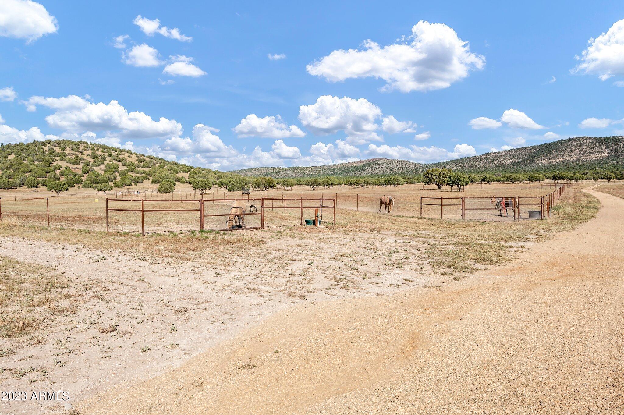 5801 Dillon Wash Road Prescott, AZ 86305 - Photo 94 of 169 89 - Lower Pastures