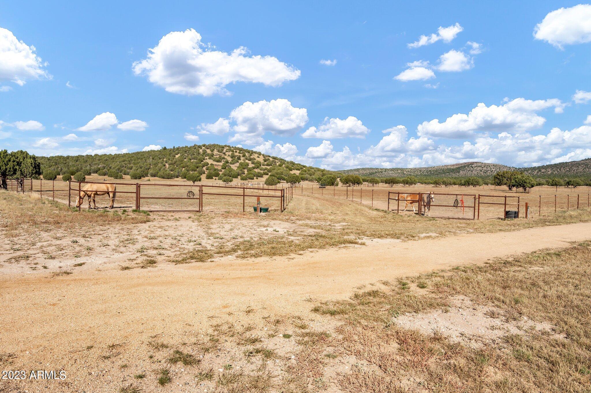 5801 Dillon Wash Road Prescott, AZ 86305 - Photo 95 of 169 90 - Lower Pastures