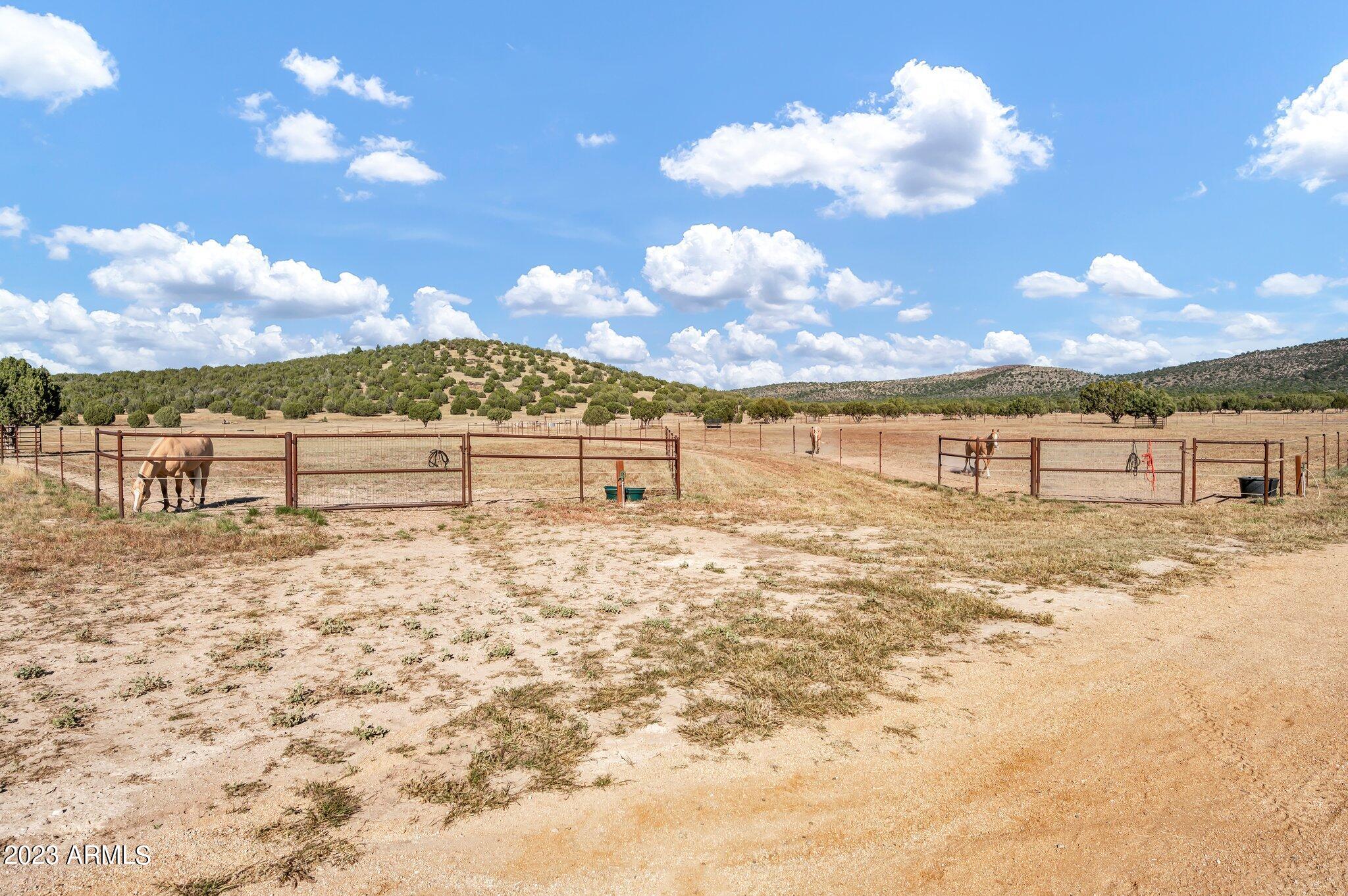 5801 Dillon Wash Road Prescott, AZ 86305 - Photo 96 of 169 91 - Lower Pastures