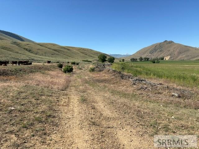 0 Tbd Salmon, ID 83467 - Photo 5 of 11