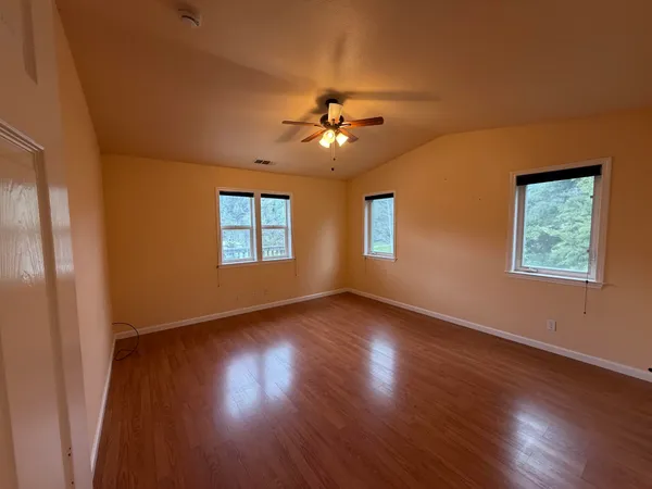 a view of a forest with a mountain