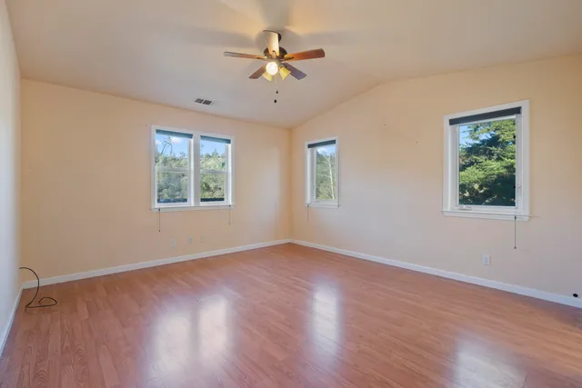 a view of a forest with a mountain