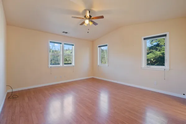 a view of a forest with trees in the background