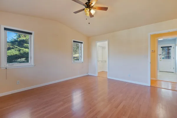 a view of a dry yard