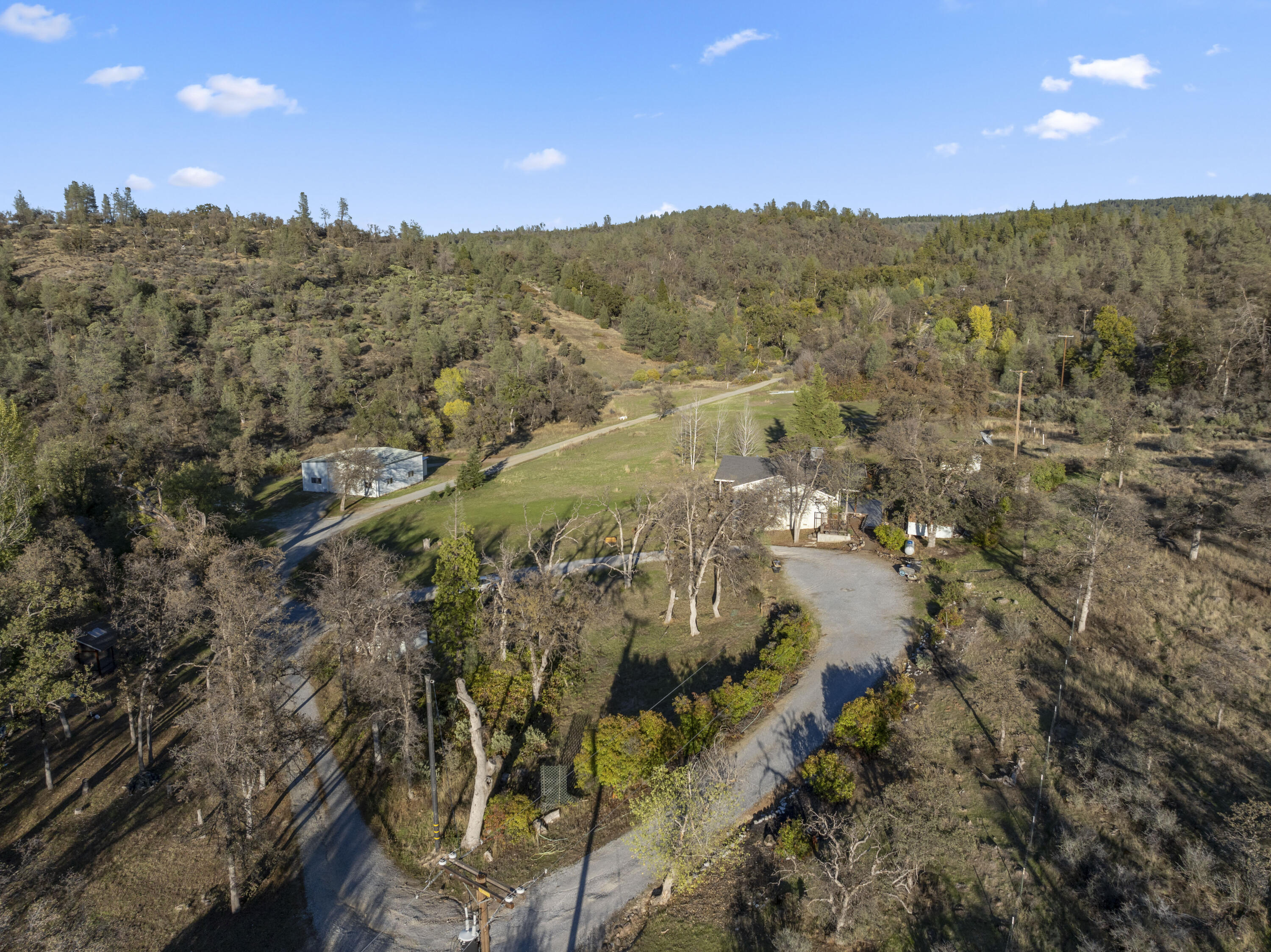 6841 Vista Lavega Road Shingletown, CA 96088 - Photo 39 of 57 a view of a forest with a mountain
