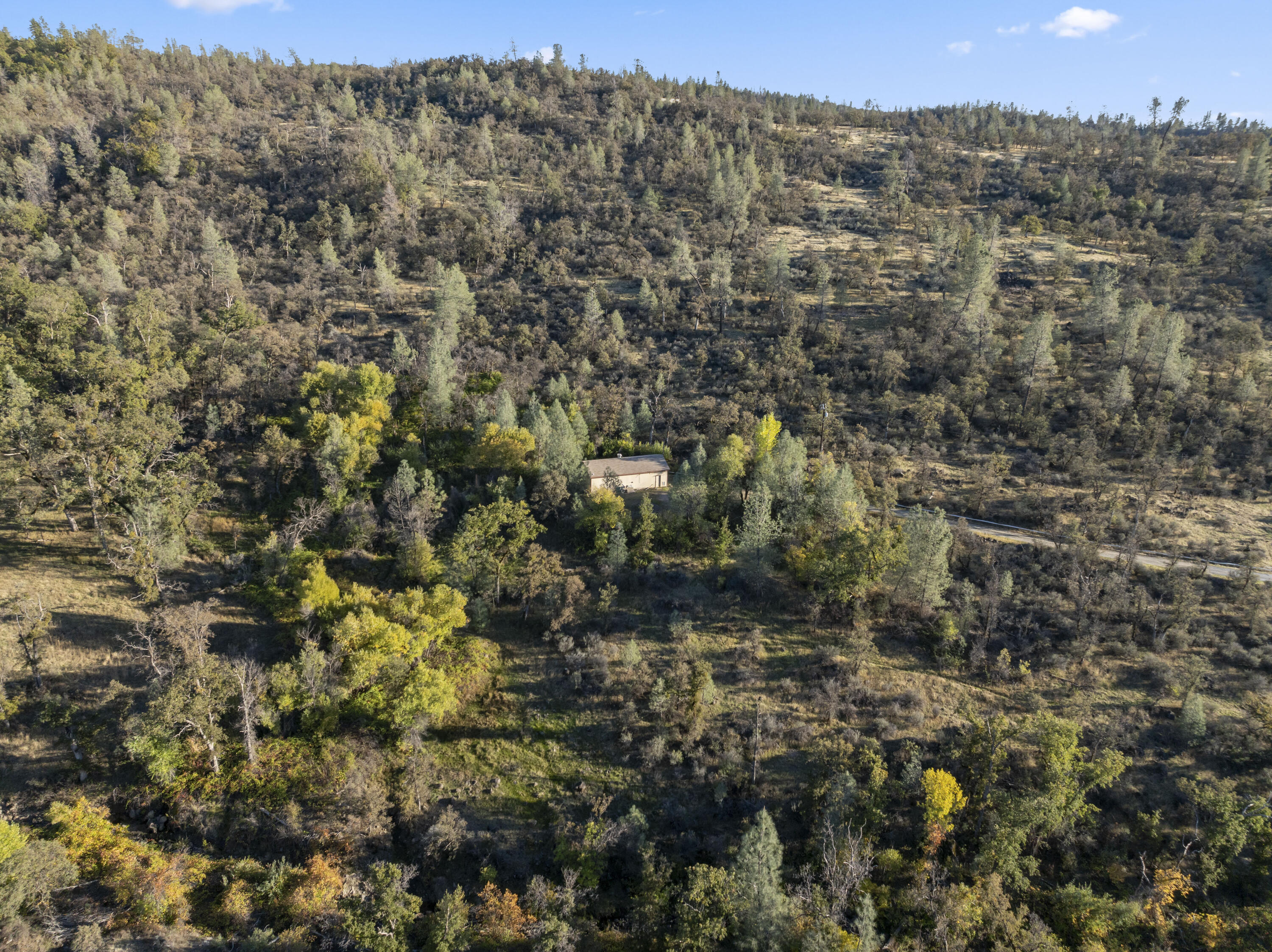 6841 Vista Lavega Road Shingletown, CA 96088 - Photo 47 of 57 a view of a bunch of trees