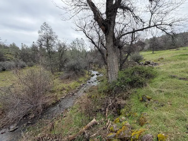 $534,500 | 6841 Vista Lavega Road, Shingletown, CA 96088