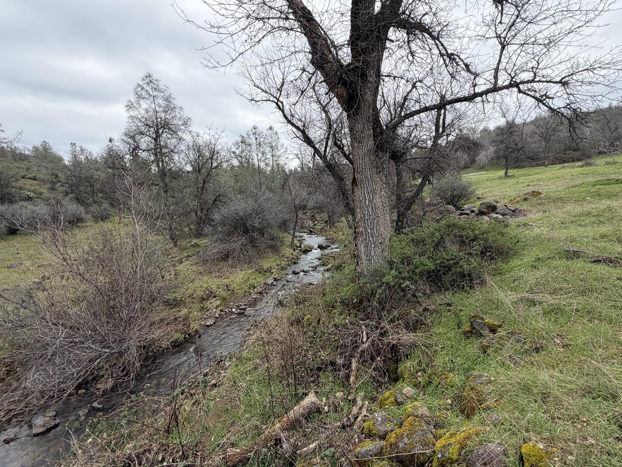 6841 Vista Lavega Road Shingletown, CA 96088 - Photo 65 of 80 IMG_9650