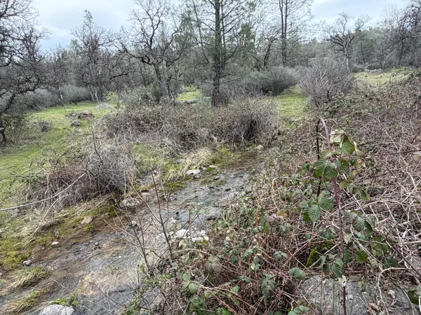 $534,500 | 6841 Vista Lavega Road, Shingletown, CA 96088