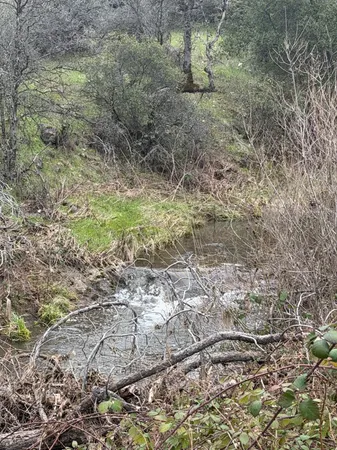 $534,500 | 6841 Vista Lavega Road, Shingletown, CA 96088